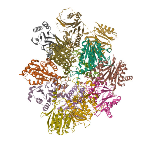 Human 20S proteasome assembly intermediate structure 3 ｜ ざいつ内科クリニック｜山口市 ...